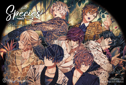 華Doll* 4th season Human or Doll: Speciesポスタービジュアルカード